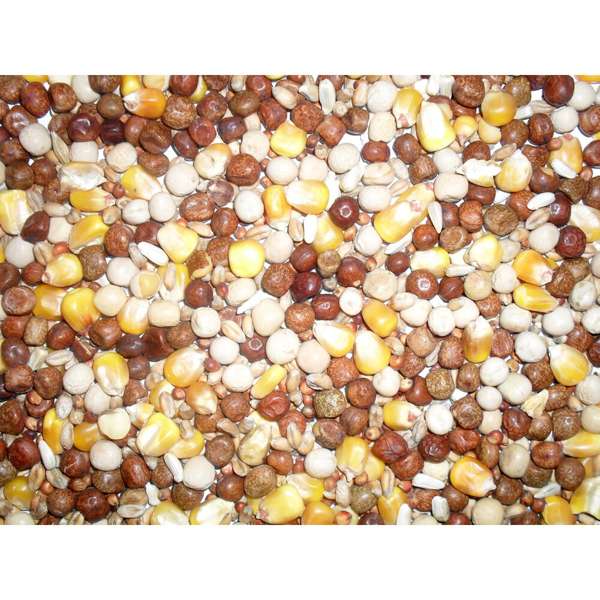 Johnston & Jeff All Rounder Pigeon Corn 20kg